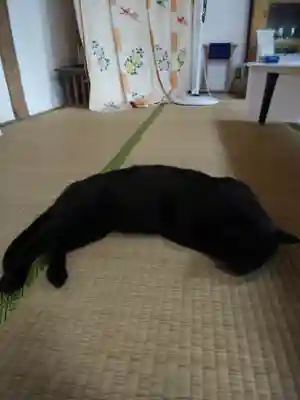 高司神社〜むすびの神の鎮まる社〜(福島県)