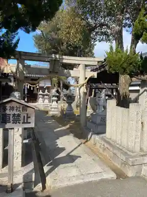 波多神社の鳥居