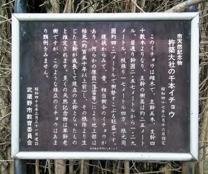 杵築大社の歴史