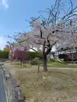 善導寺(福島県)