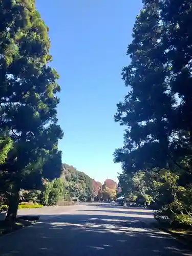 大正天皇多摩陵の自然