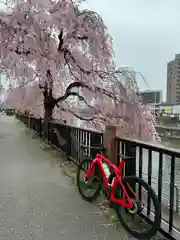 宇都宮二荒山神社(栃木県)