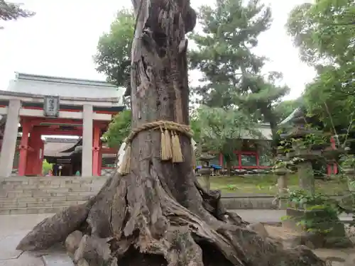 住吉大社の自然