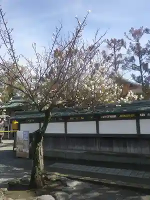 鶴岡八幡宮のその他建物