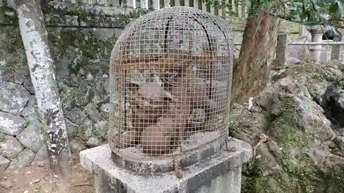 紀伊神社の狛犬