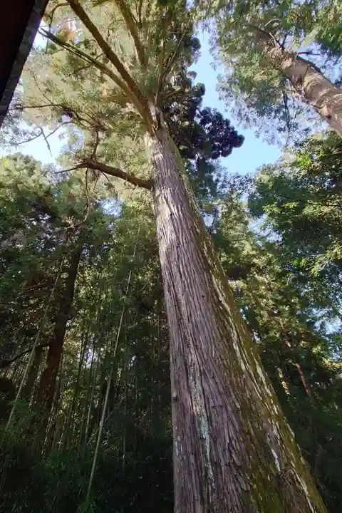小村神社(高知県)