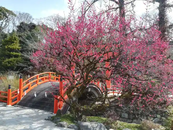 賀茂御祖神社(下鴨神社)の自然