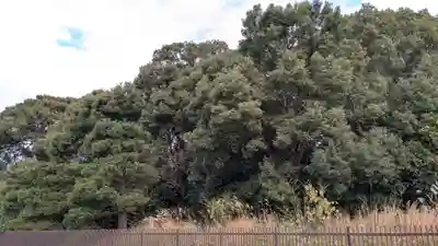 菟道稚郎子尊宇治墓のお墓