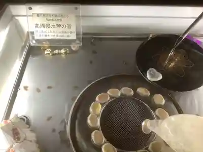 四季桜の寺 妙乗院の手水舎