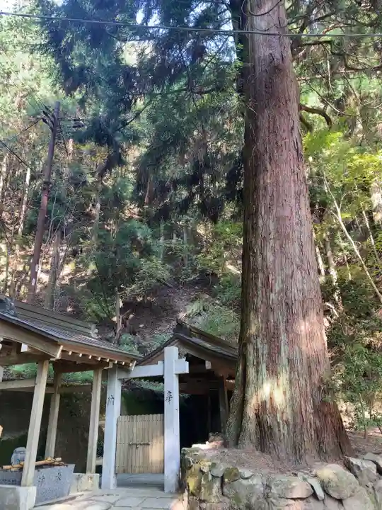 無動寺(延暦寺塔頭)(滋賀県)