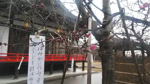 北野天満宮の自然