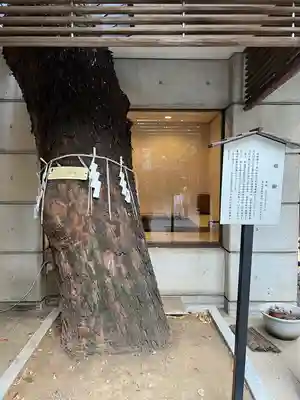 乃木神社(東京都)