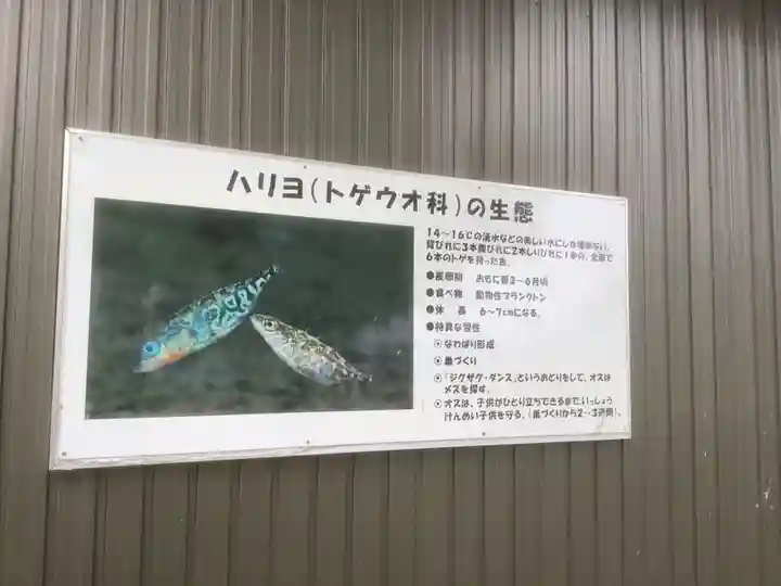 加賀野八幡神社の自然