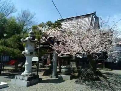 妙源寺の本殿・本堂