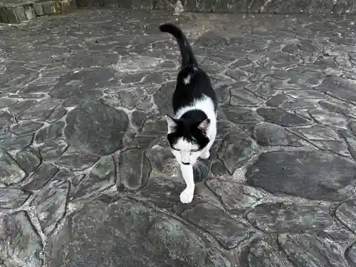 王子神社(徳島県)