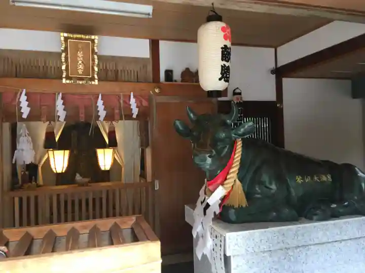 琴似神社の狛犬