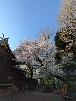 熊野神社(東京都)