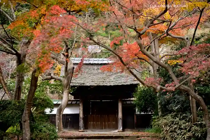 円覚寺(神奈川県)