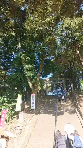 唐澤山神社(栃木県)