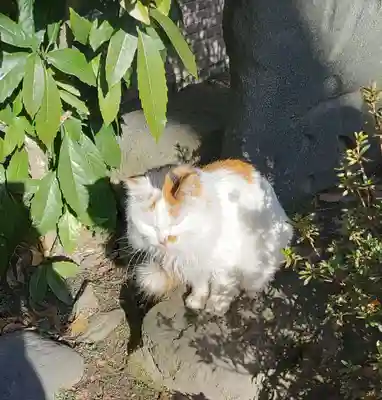 阿邪訶根神社(福島県)