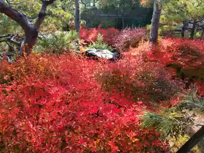 寿量山 速成寺(奈良県)