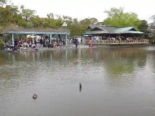 鶴岡八幡宮の庭園