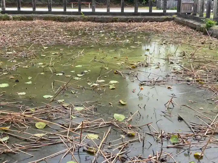 伊賀八幡宮(愛知県)