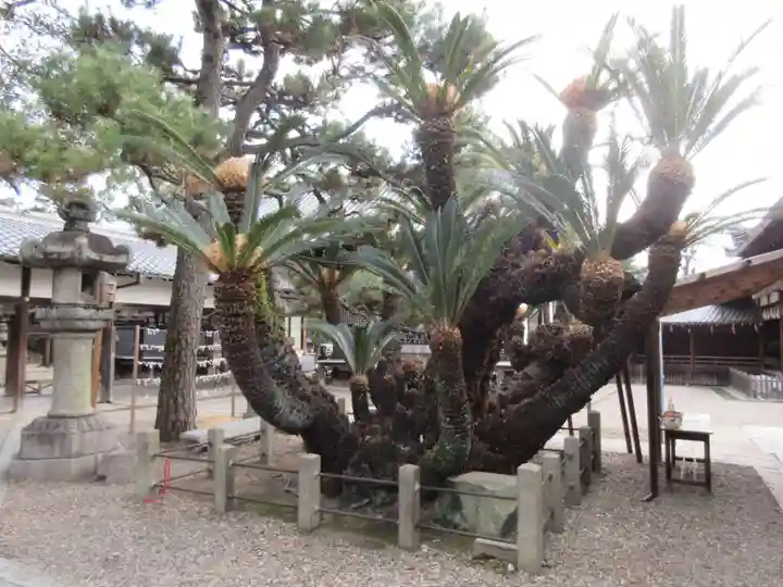 御香宮神社の自然