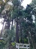 大宮温泉神社(栃木県)