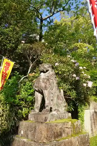 熊野那智大社の狛犬