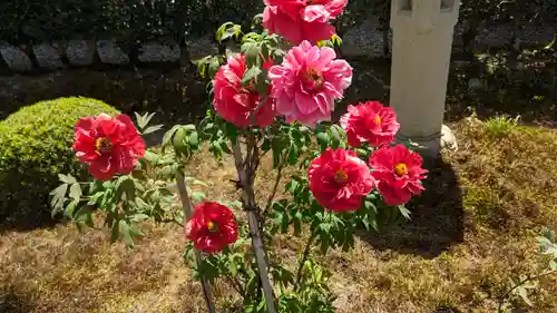 圓光寺(京都府)
