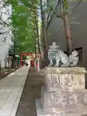 花園神社の狛犬