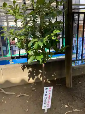 杉田八幡神社（杉田八幡宮）(神奈川県)