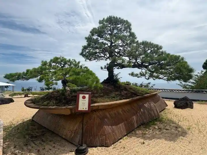 曽我浅間神社(静岡県)