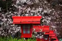 神炊館神社 ⁂奥州須賀川総鎮守⁂の景色