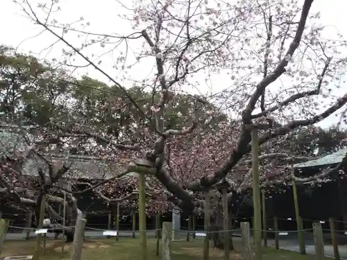 宮地嶽神社の自然