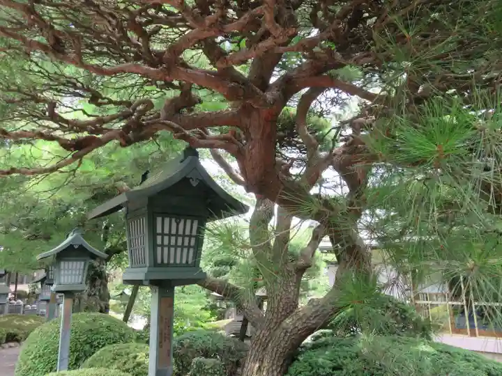 密藏院(埼玉県)