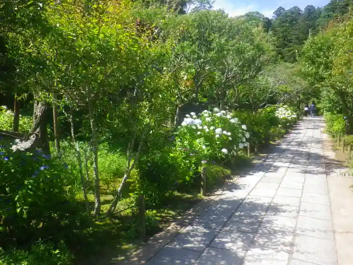 東慶寺のその他建物