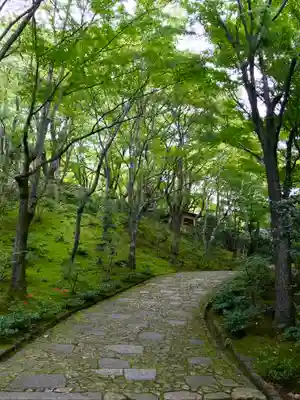 常寂光寺の周辺
