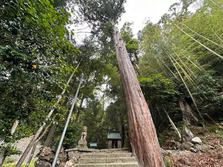 三宅神社(福井県)