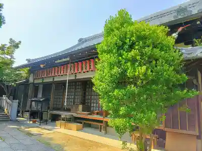 泉増院の本殿・本堂