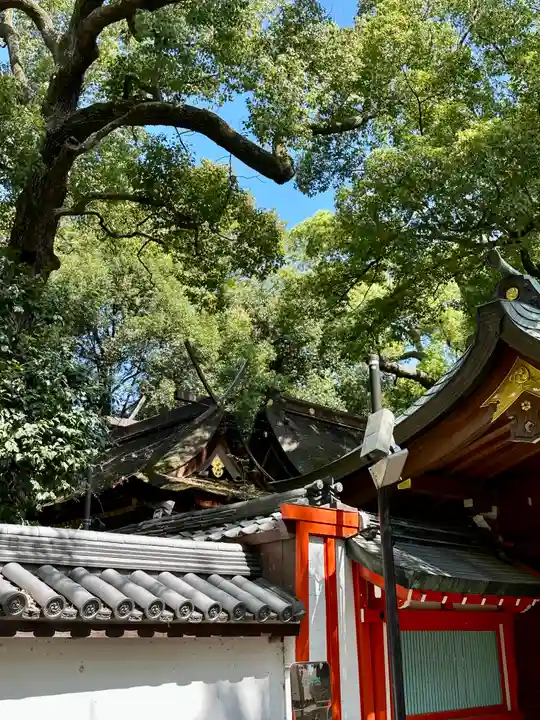 杭全神社(大阪府)