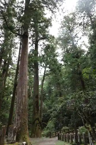 最乗寺（道了尊）(神奈川県)