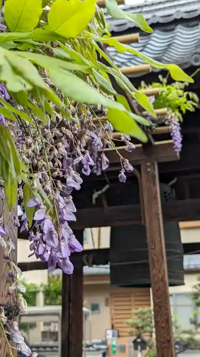勝龍寺(京都府)
