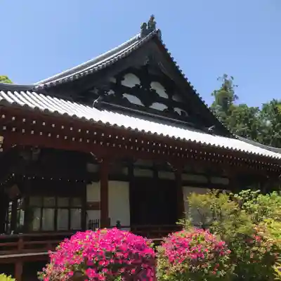 久米寺の本殿・本堂