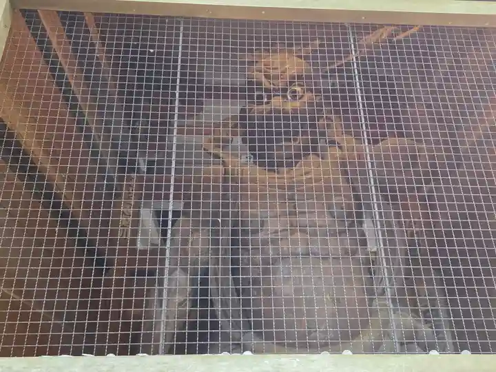 最御崎寺(高知県)