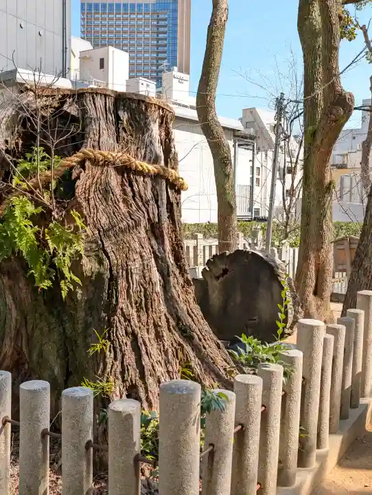 生田神社の{uncategorized: "未分類", other: "その他", undefined: "問題あり", building: "その他建物", grave: "お墓", sacred_gate: "鳥居", guardian: "狛犬", statue: "像", buddha: "仏像", history: "歴史", nature: "自然", garden: "庭園", animal: "動物", pagoda: "塔", temizu: "手水舎", mountain_gate: "山門・神門", sanctuary: "本殿・本堂", subordinate: "末社・摂社", art: "芸術", scenery: "景色", jizo: "地蔵", ema: "絵馬", goshuin: "御朱印", omikuji: "おみくじ", items: "授与品その他", amulet: "お守り", goshuincho: "御朱印帳", eats: "食事", festival: "お祭り", votive_dance: "神楽", shichigosan: "七五三参", wedding: "結婚式", experience: "体験その他", initially: "初詣", around: "周辺", anti_infection: "感染症対策"}