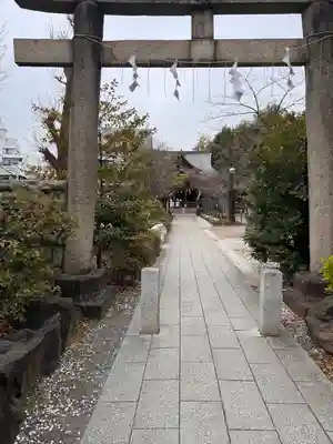 鳩森八幡神社の鳥居