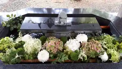 新琴似神社の手水舎