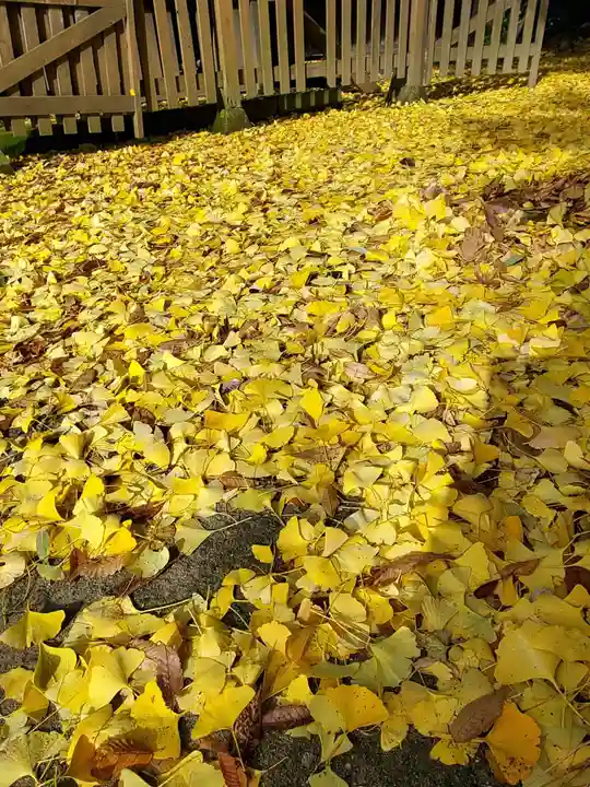 阿邪訶根神社(福島県)